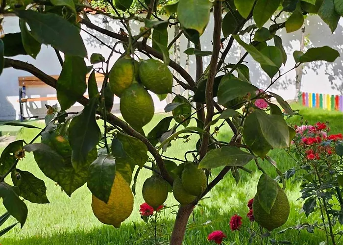 акра-ф צ'רנומורץ