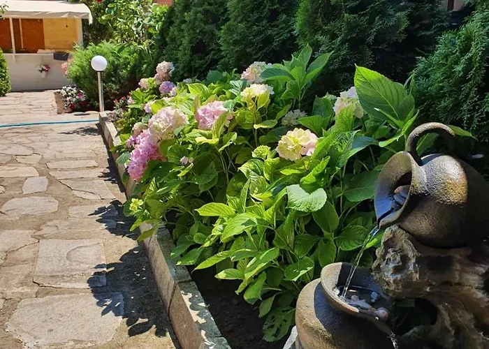 акра-ф מלון *