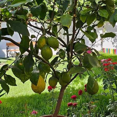 акра-ф Τσερνομόρετς